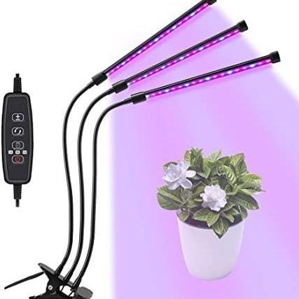 چراغ رشد گیاه